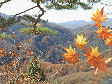 新趋势！不花钱玩的网络游戏，数据解答策略观察_j3hl957.173.75