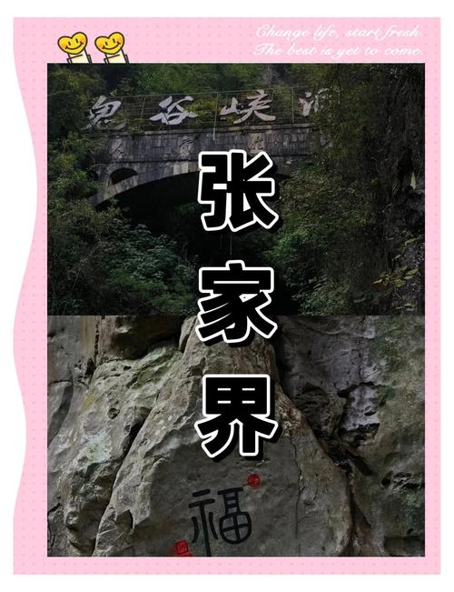 张家界溶洞被排污水,张家界溶洞被排污水淹没