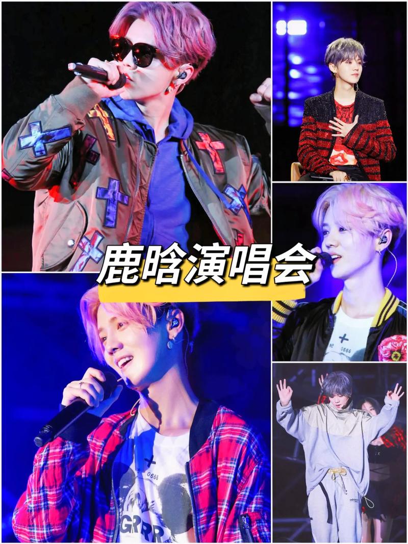 鹿晗演唱会审批通过,鹿晗演唱会安排