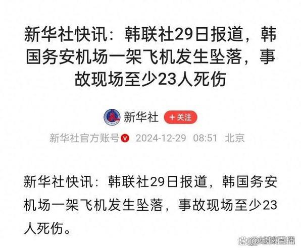 韩国发生飞机坠毁,韩国发生飞机坠毁事件