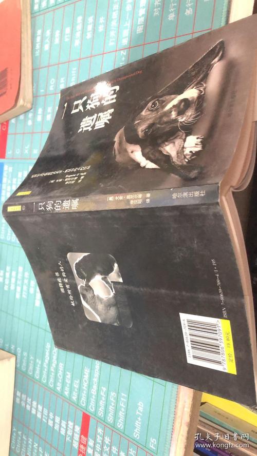 女子为4只狗立遗嘱,女子为4只狗立遗嘱视频