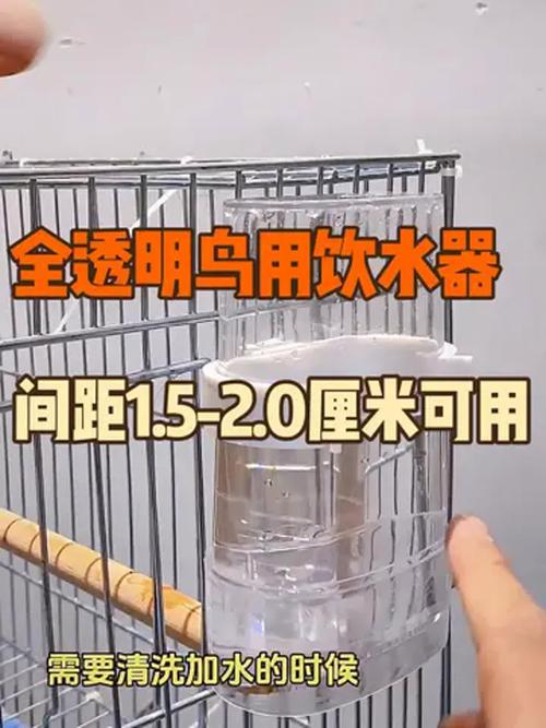 鹦鹉开饮水器喝水,鹦鹉开饮水器喝水好吗